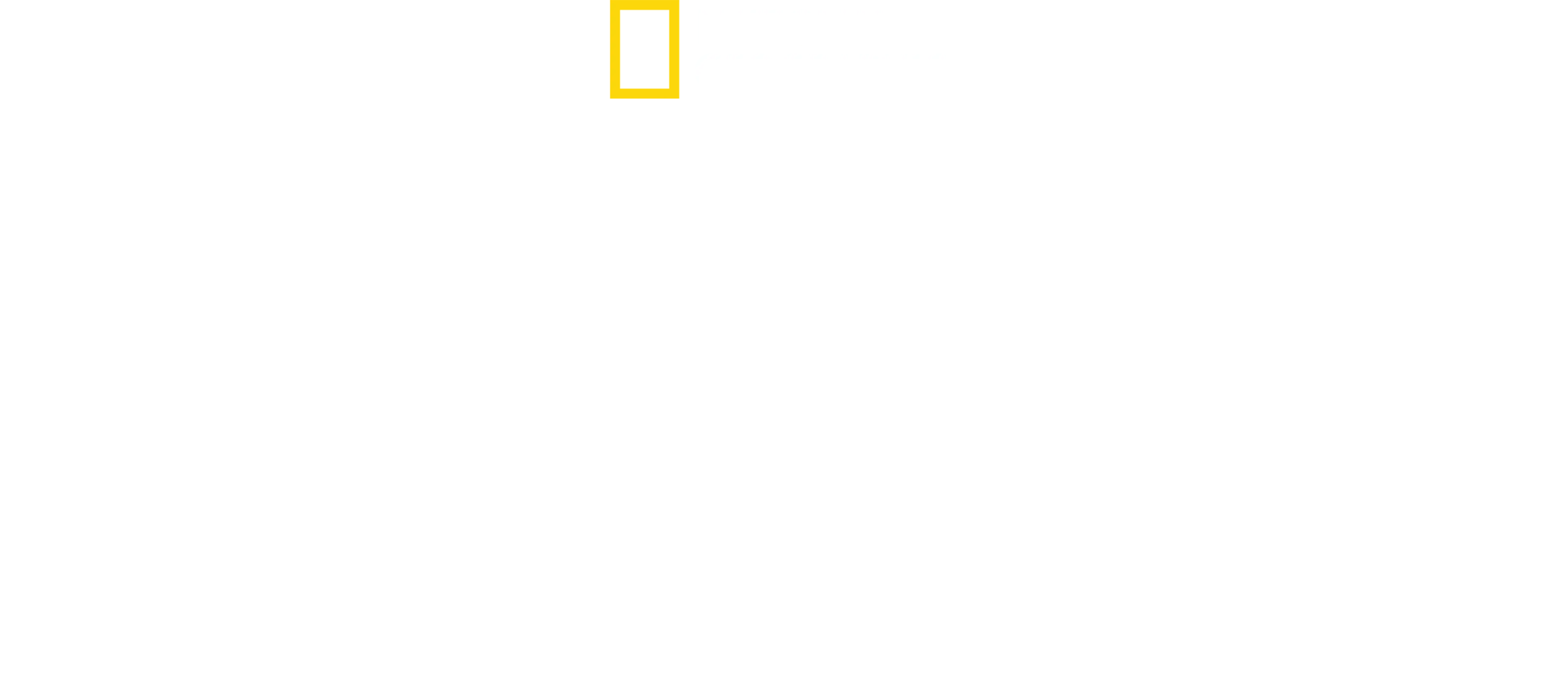 Rescatados de los tiburones
