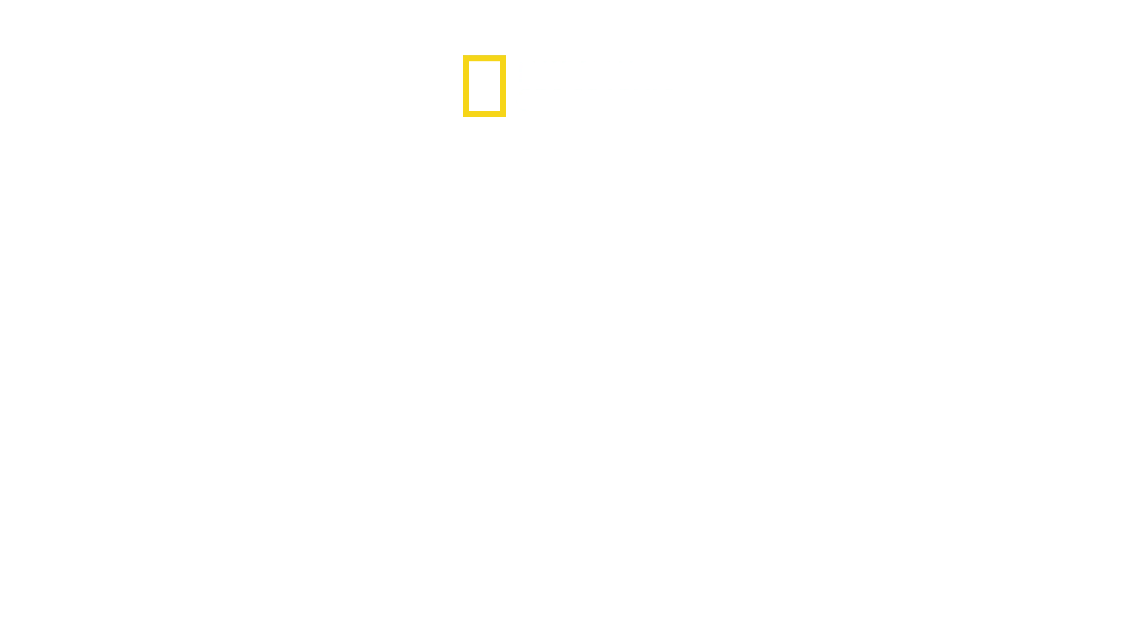 Sharks That Eat Everything