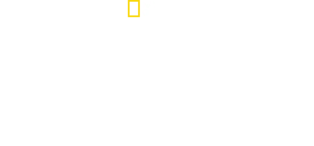 Sharks That Eat Everything