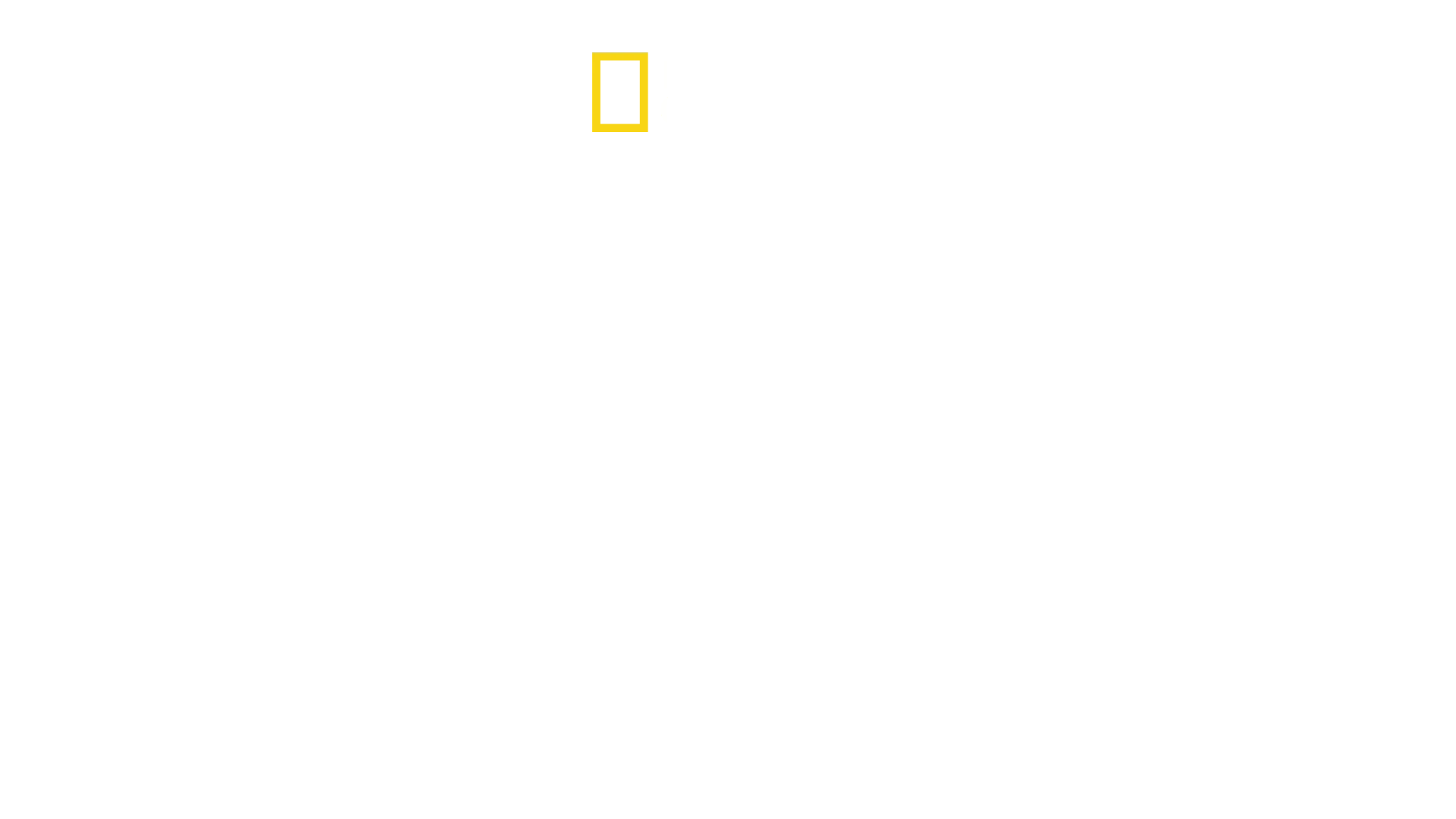 Gli animali più pericolosi: Africa