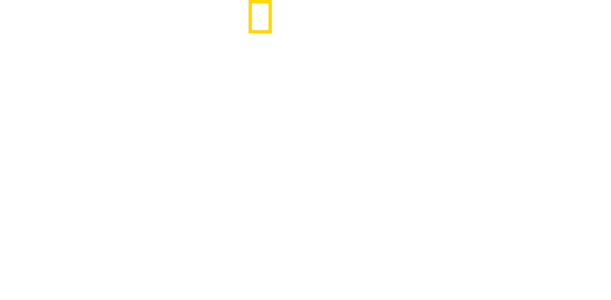 Gli animali più pericolosi: Africa