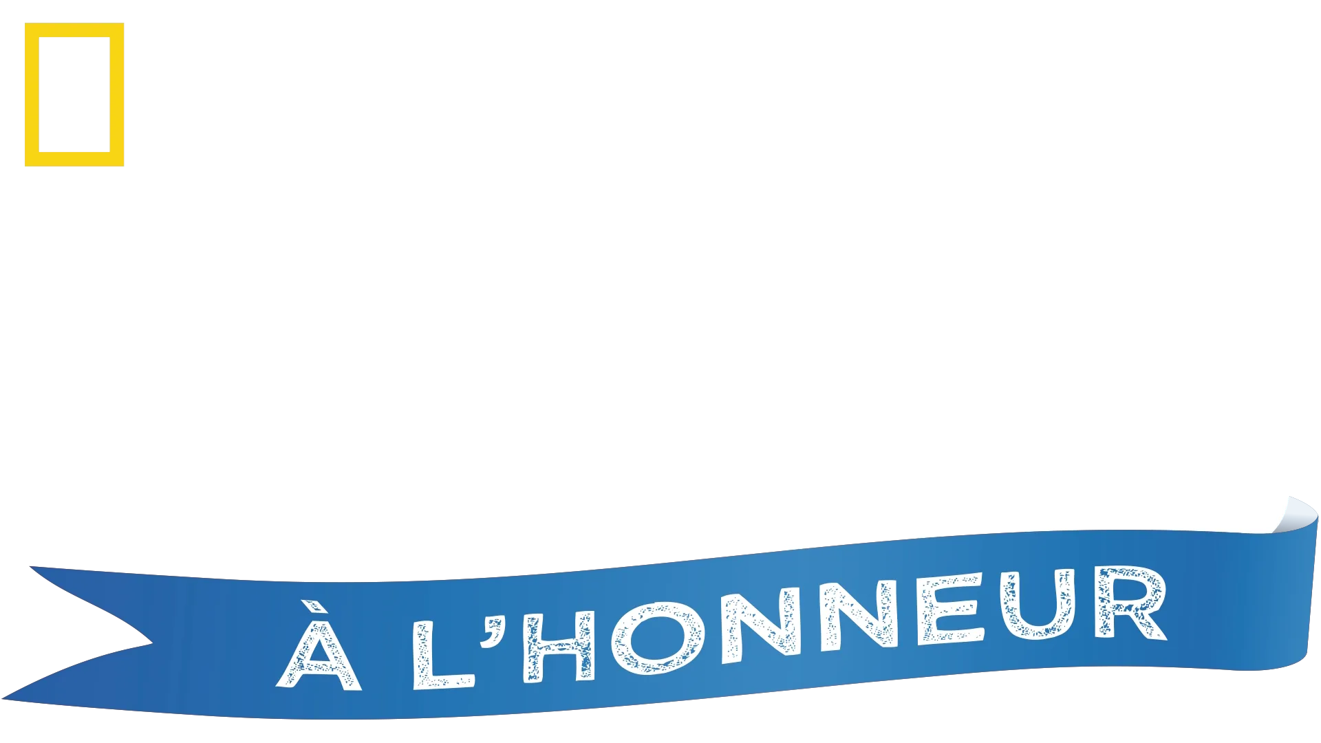 Les enfants à l’honneur