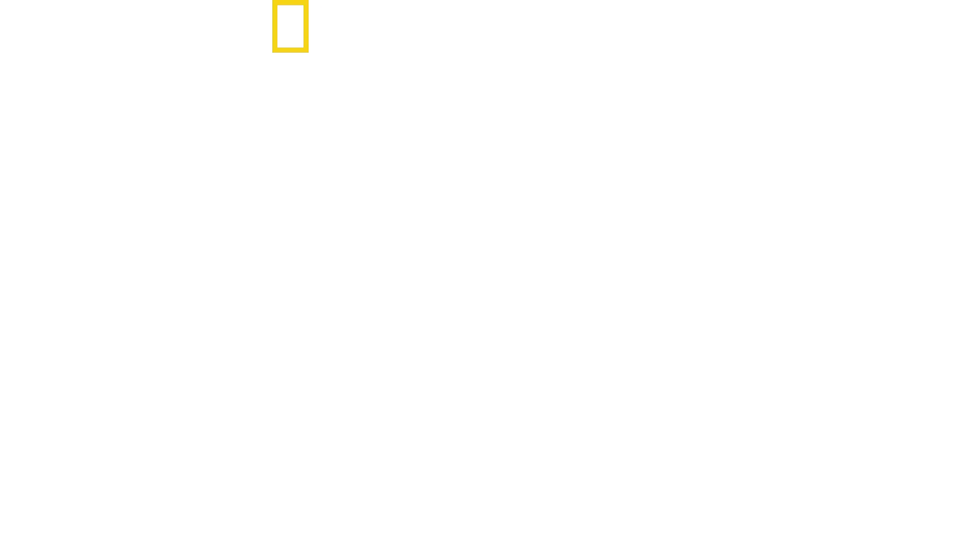 Hitlers kamp mod pressen