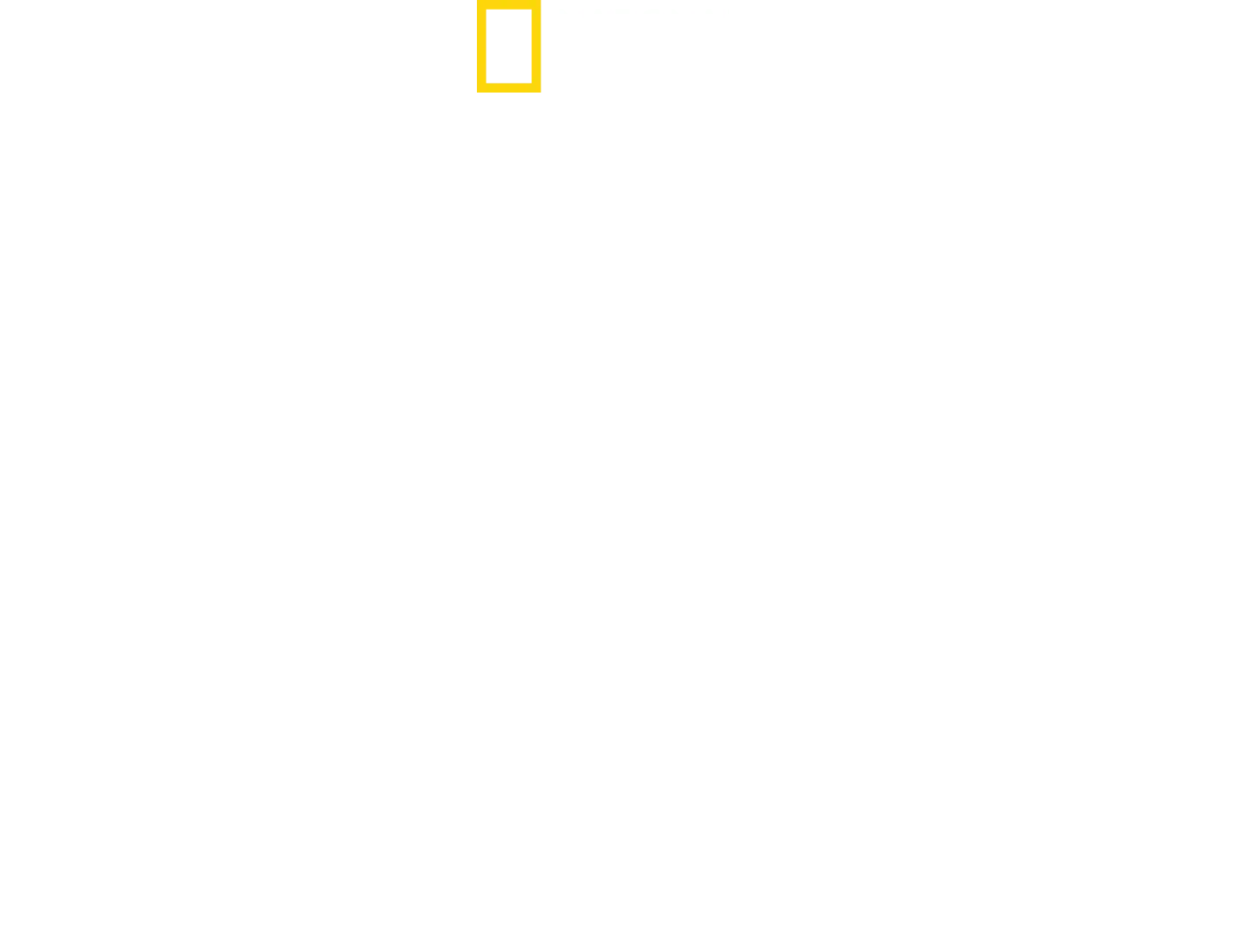 Hitlers kamp mod pressen
