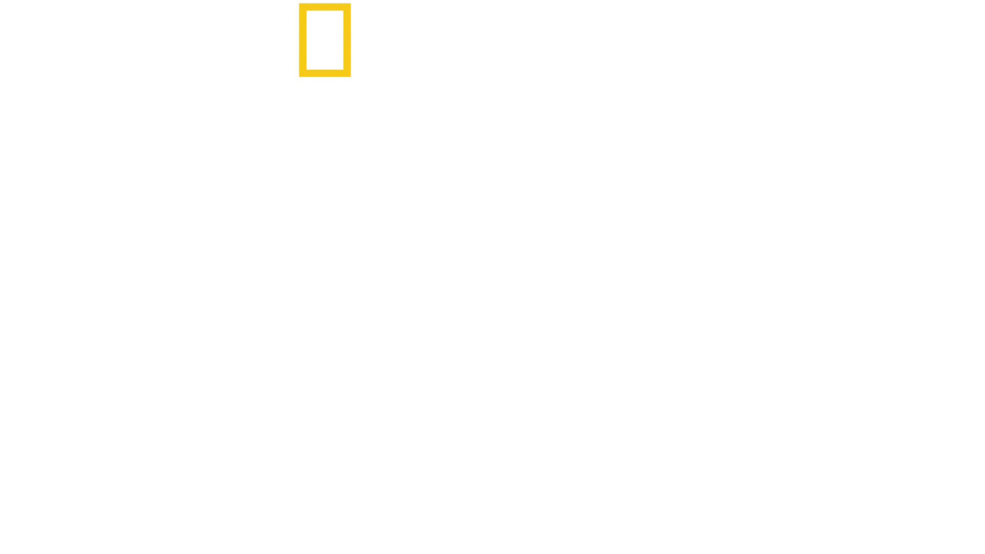 Blink - Jeder Augenblick zählt