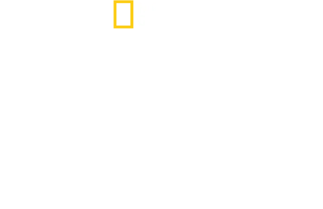 Blink - Jeder Augenblick zählt