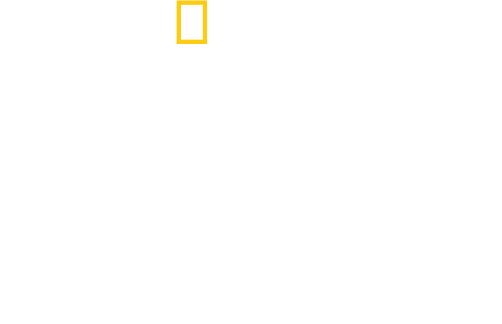 Blink - Jeder Augenblick zählt