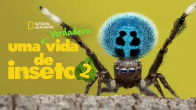 Uma Verdadeira Vida de Inseto