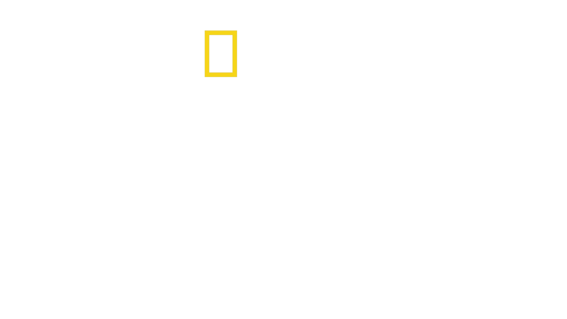 Csimpánzmenedék