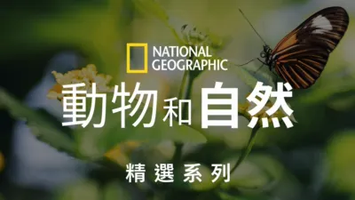thumbnail - 國家地理動物和自然