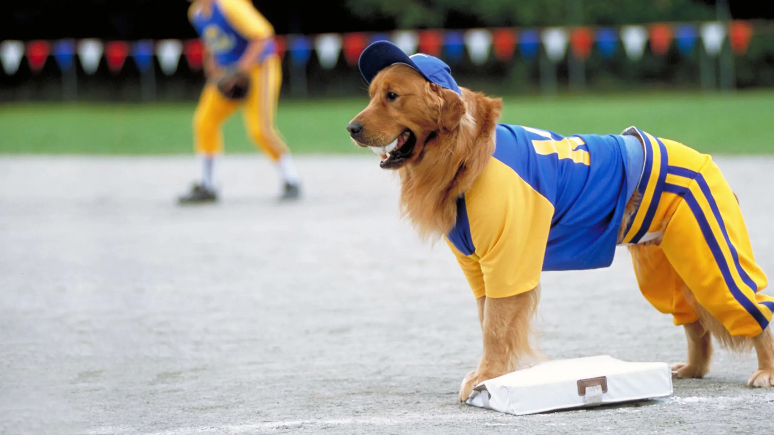 Air Bud: Seventh Inning Fetch