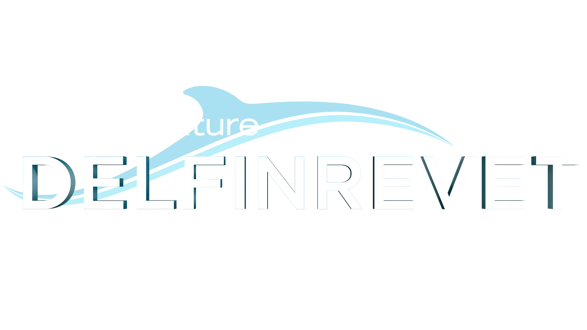 Disneynature: Delfinrevet