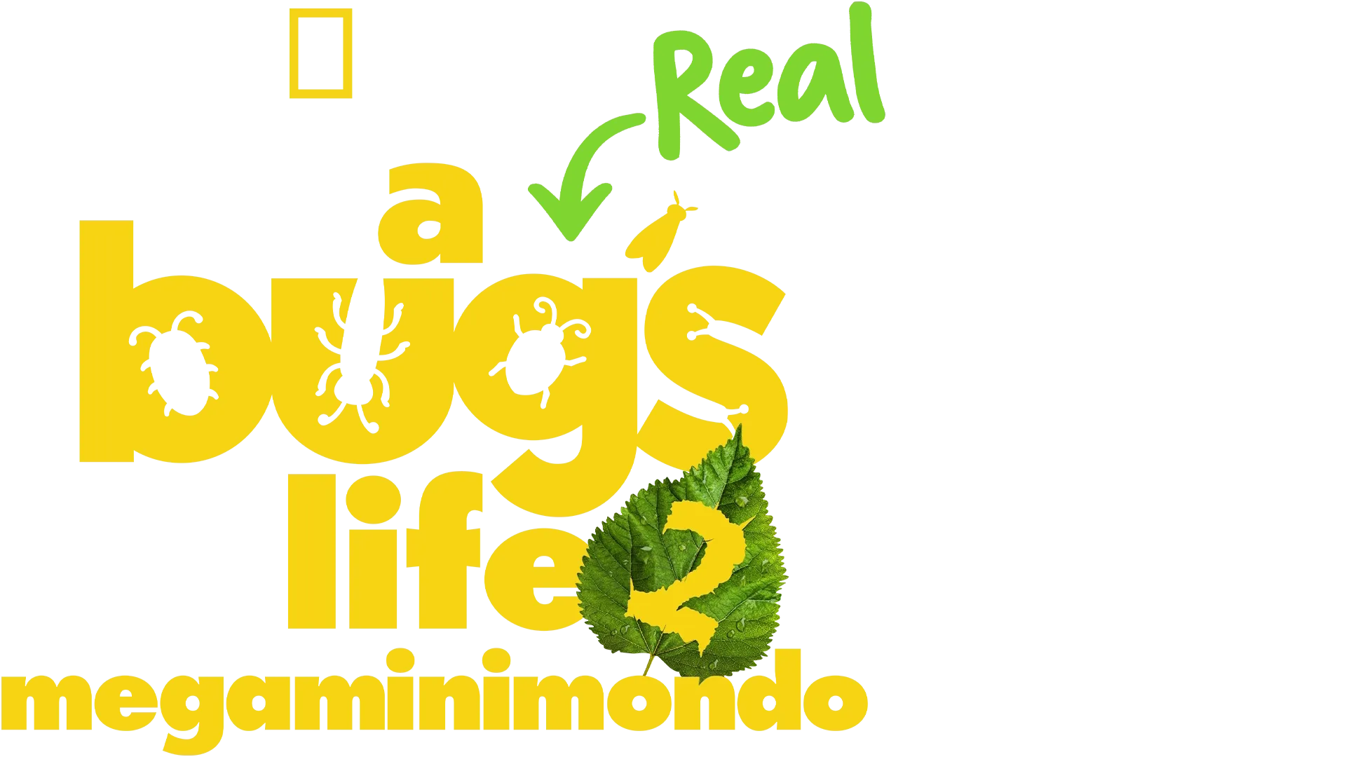 A Real Bug's Life - Megaminimondo