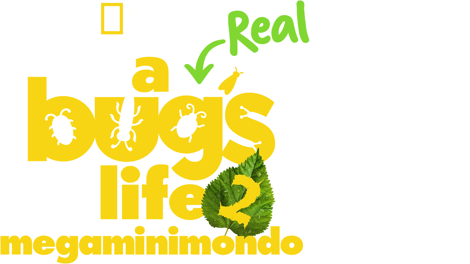 A Real Bug's Life - Megaminimondo