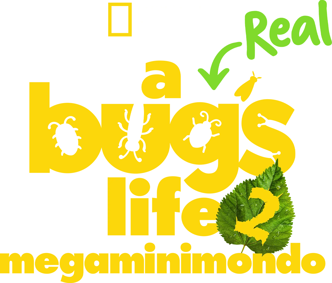 A Real Bug's Life - Megaminimondo