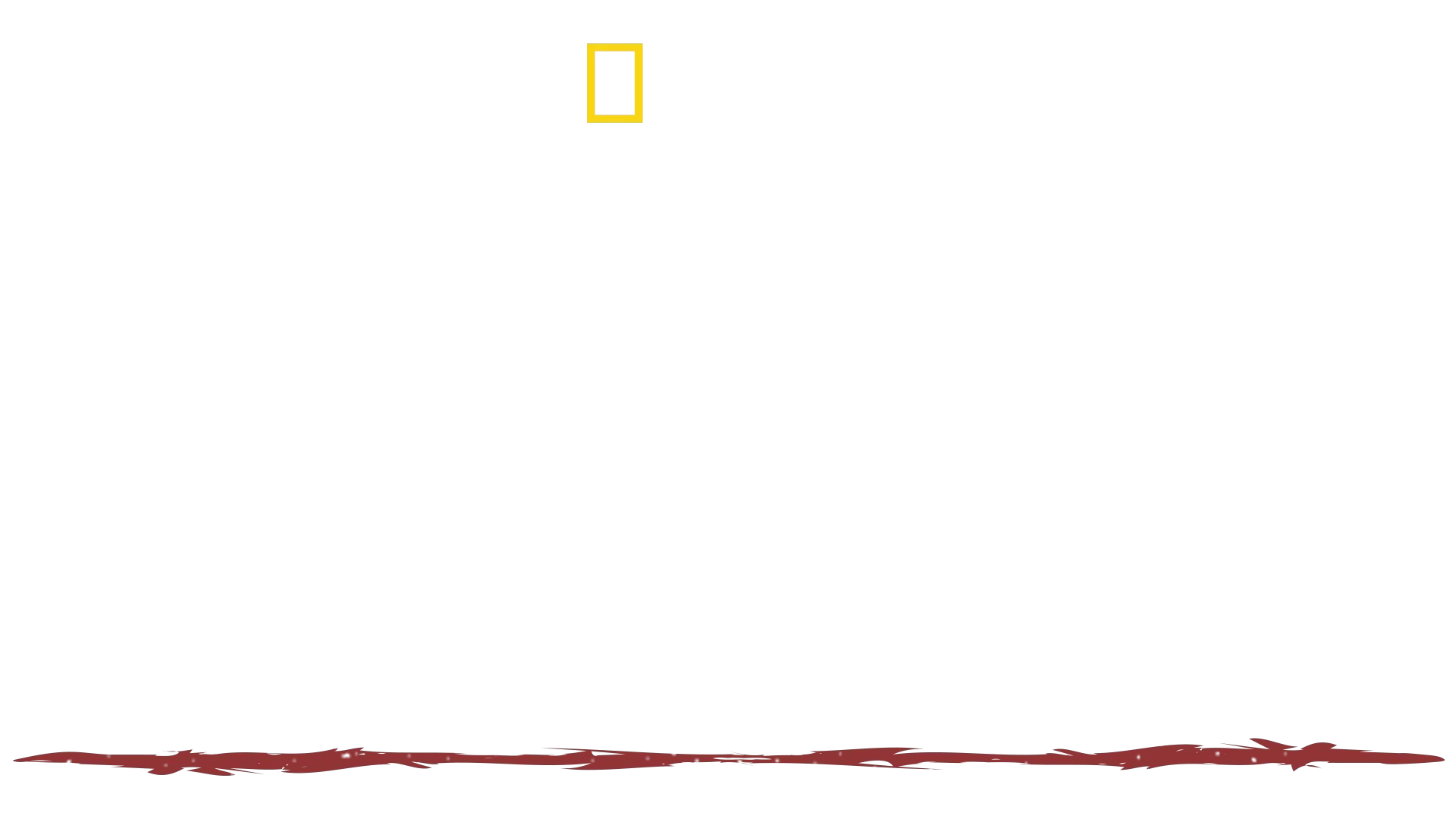 Solo contra el mundo: Hazen Audel
