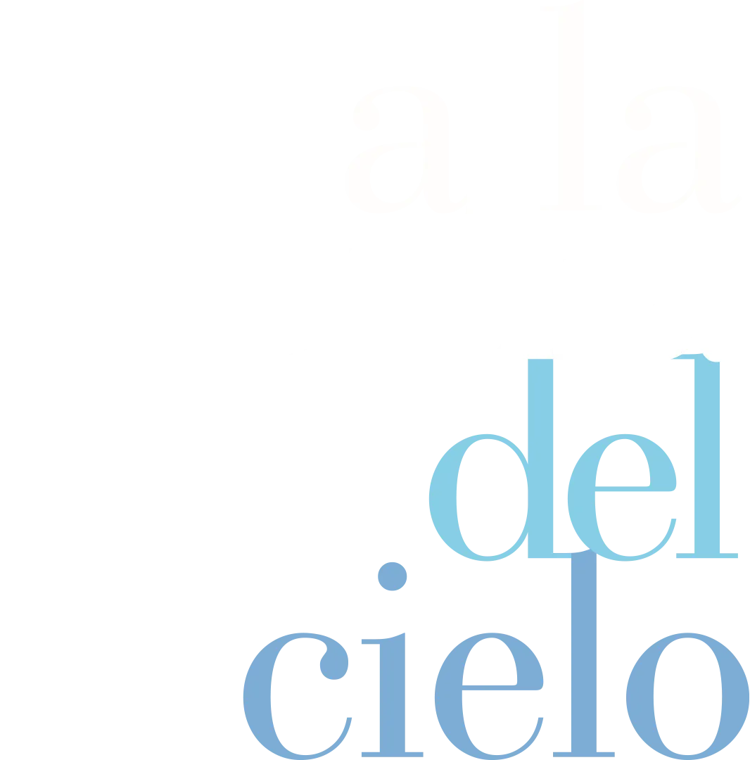 La Diestra Del Cielo, A: Silvio, Un Cantaor Rockero