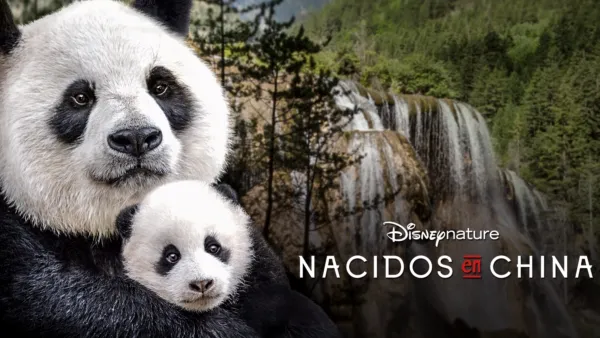 thumbnail - Nacidos en China