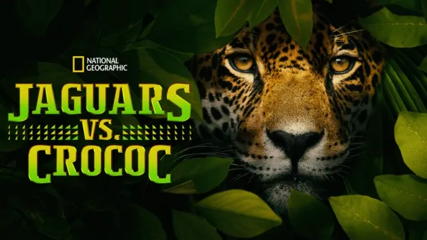thumbnail - Jaguar vs. Croc