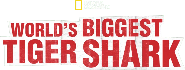 World’s Biggest Tiger Shark?