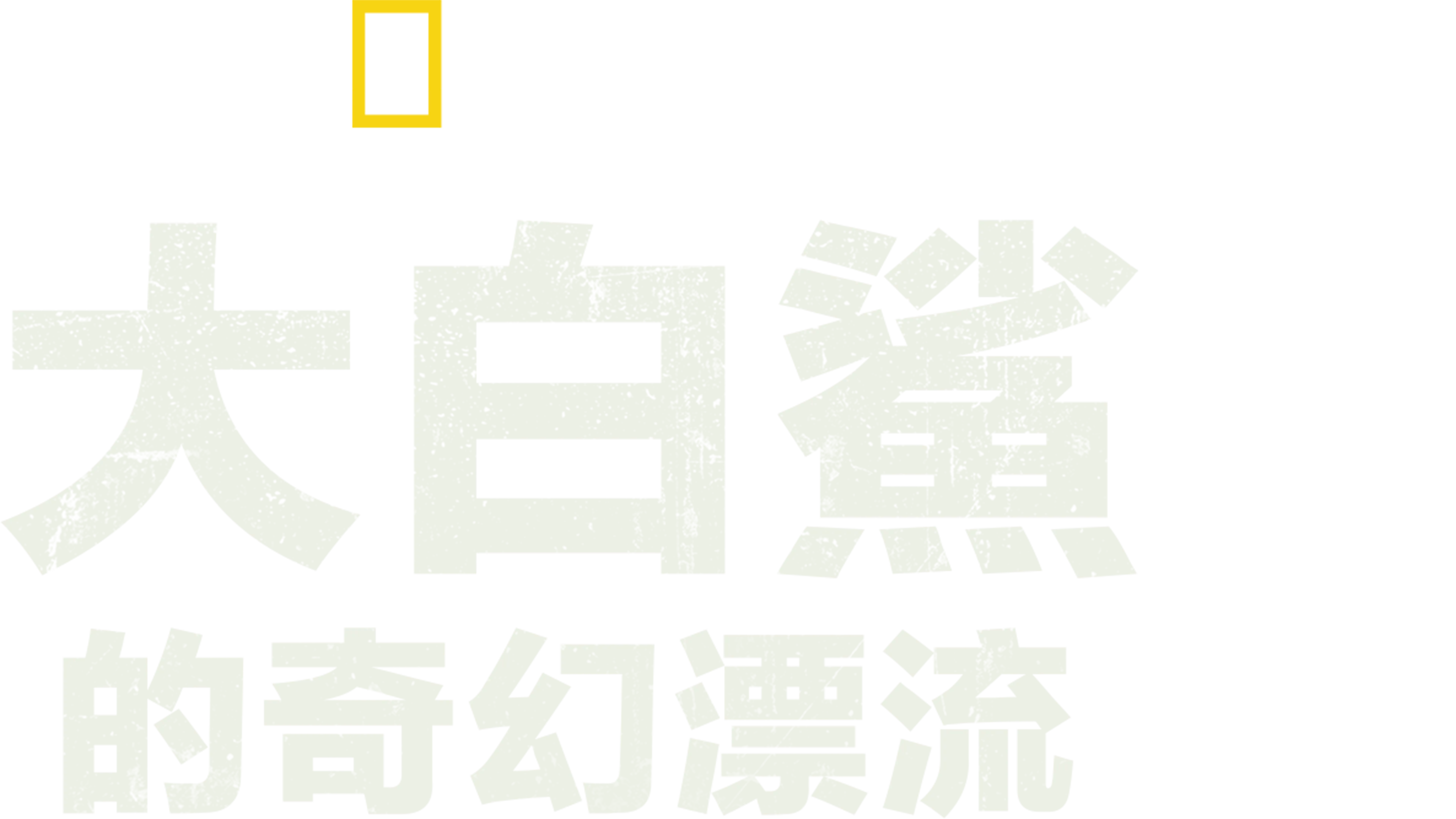 大白鯊的奇幻漂流