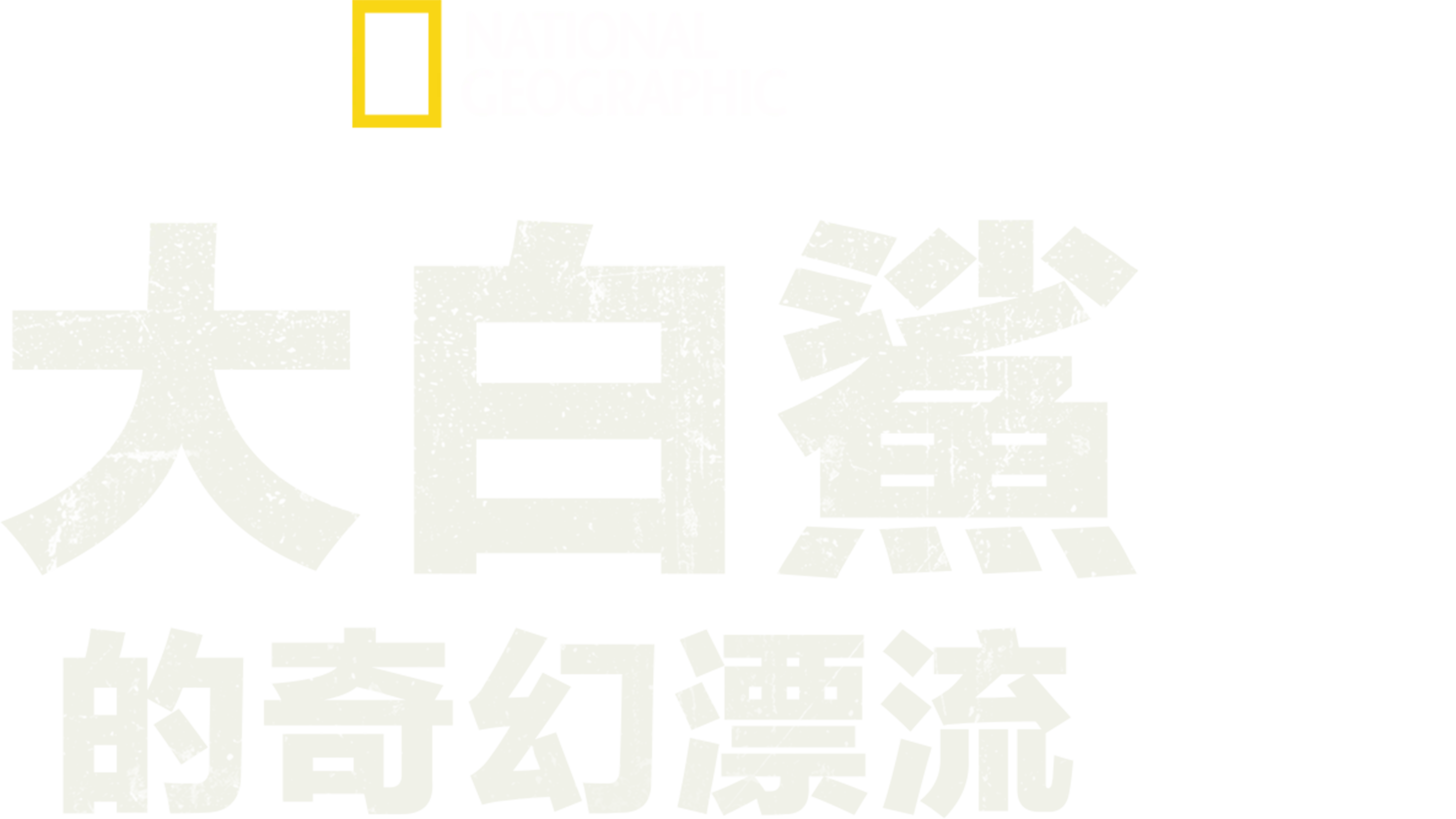 大白鯊的奇幻漂流