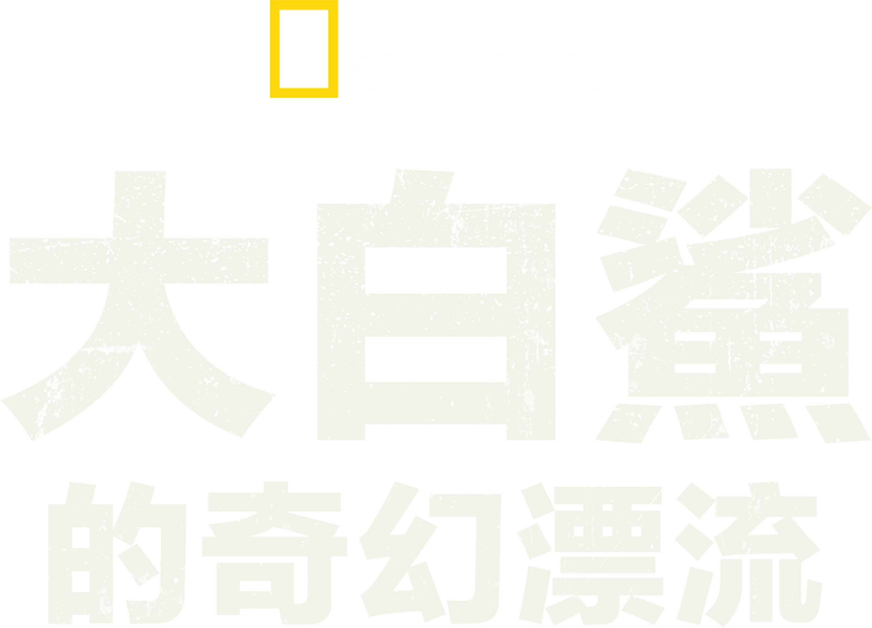 大白鯊的奇幻漂流