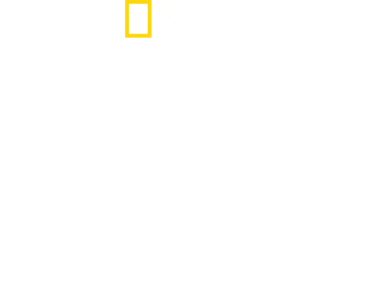 Roms verlorene Schätze