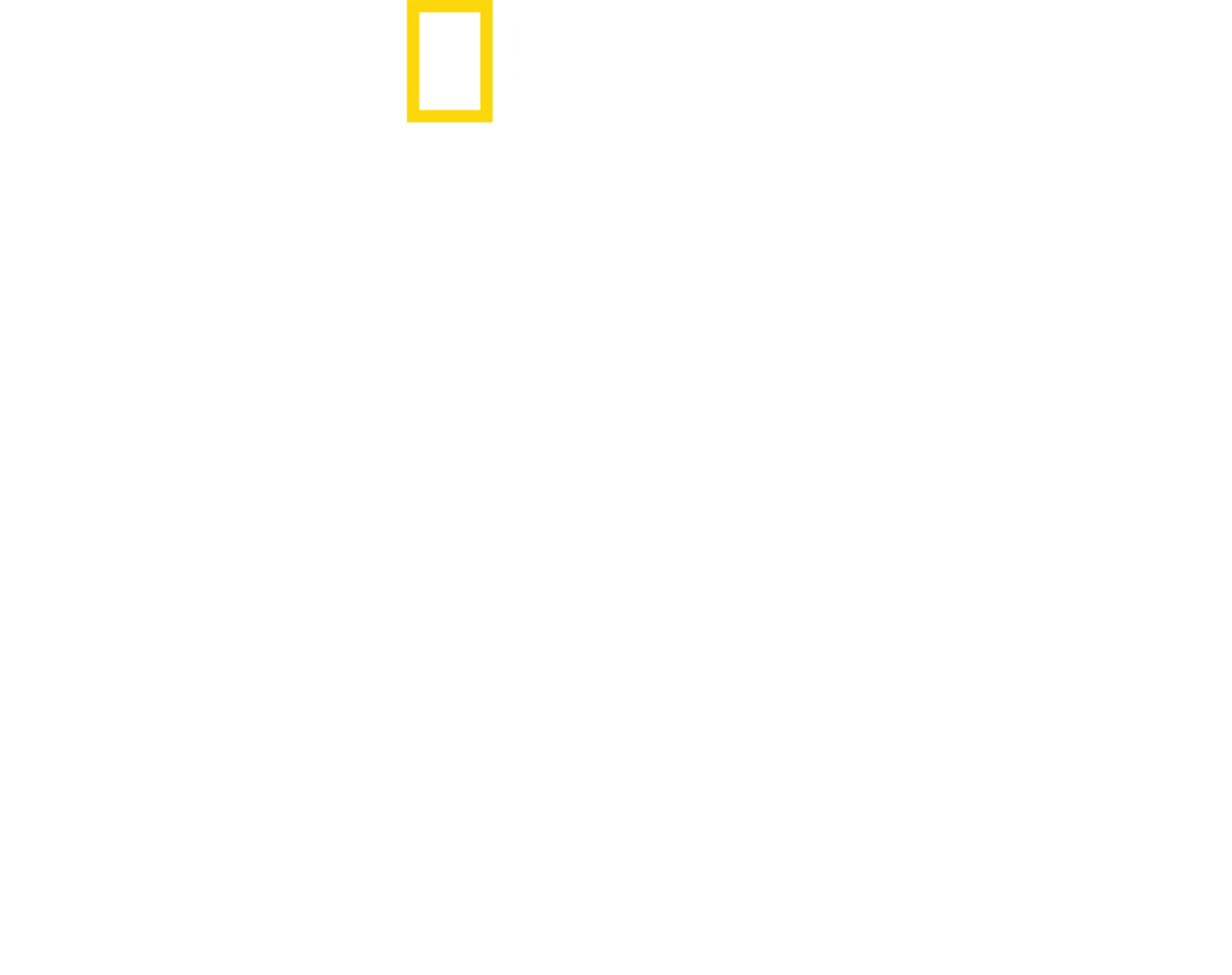 Roms verlorene Schätze