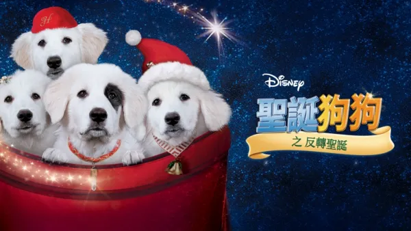 thumbnail - 聖誕狗狗之反轉聖誕