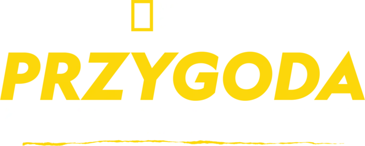 Przygoda z Bearem Gryllsem