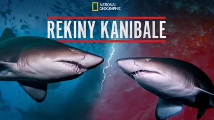 thumbnail - Rekiny kanibale