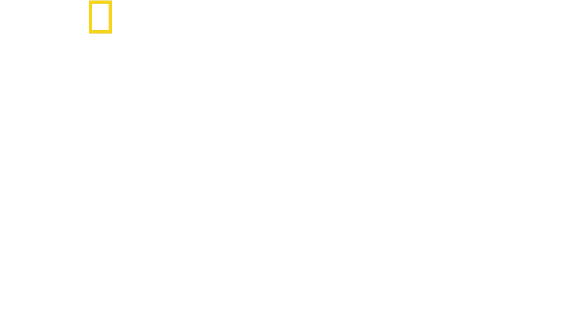 투치 인 이탈리아