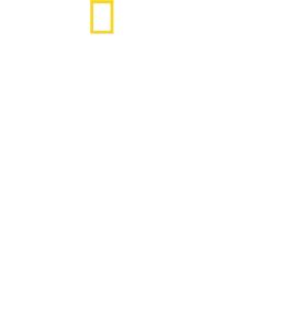 투치 인 이탈리아