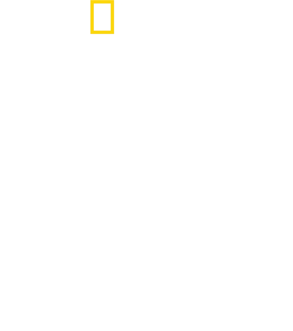 투치 인 이탈리아