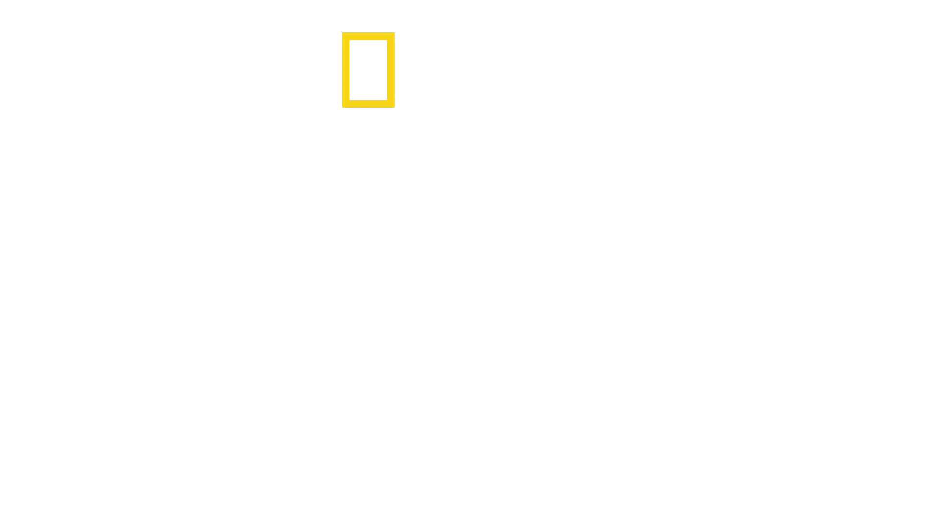 Perdidos en el Amazonas