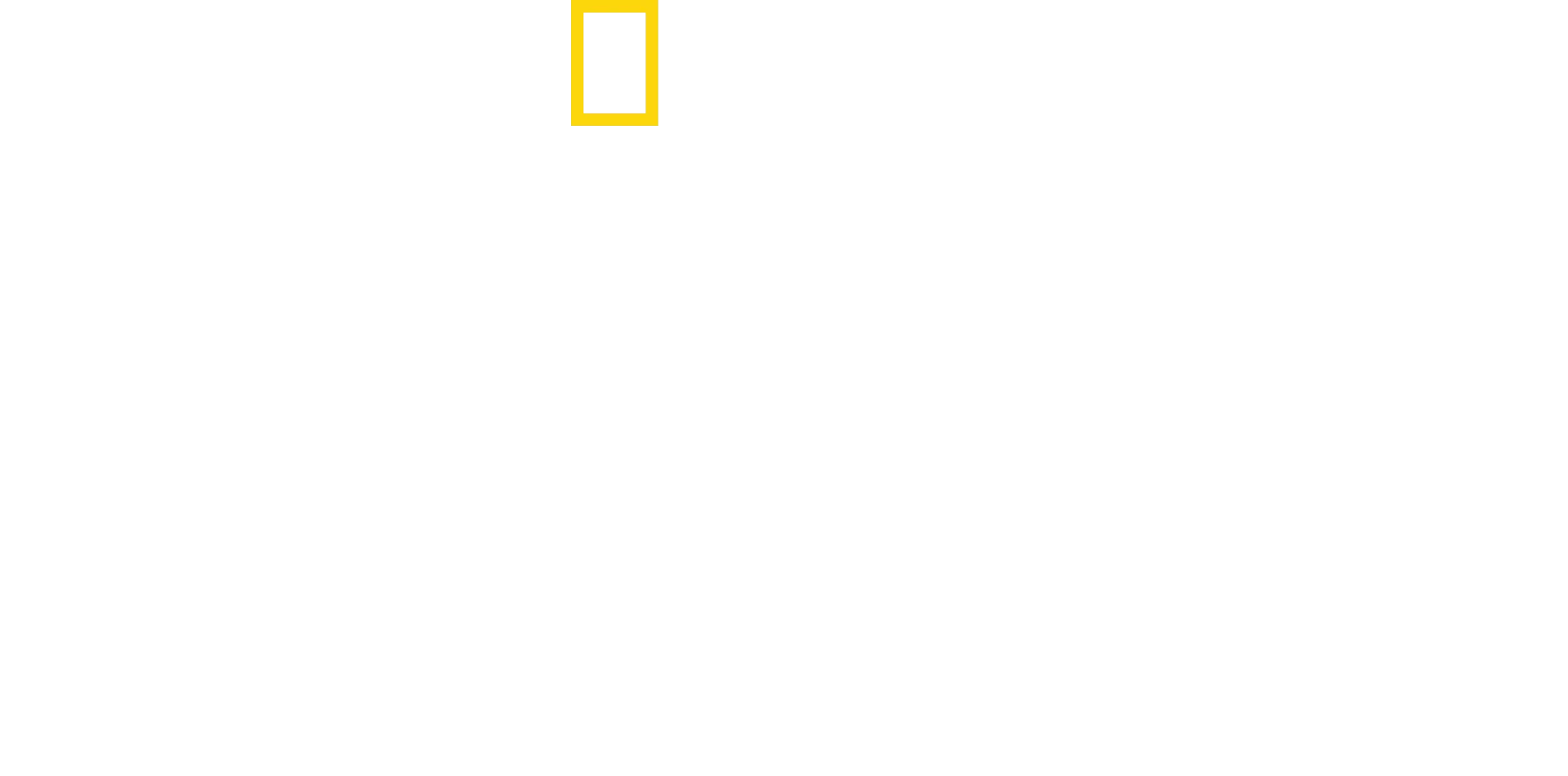Perdidos en el Amazonas