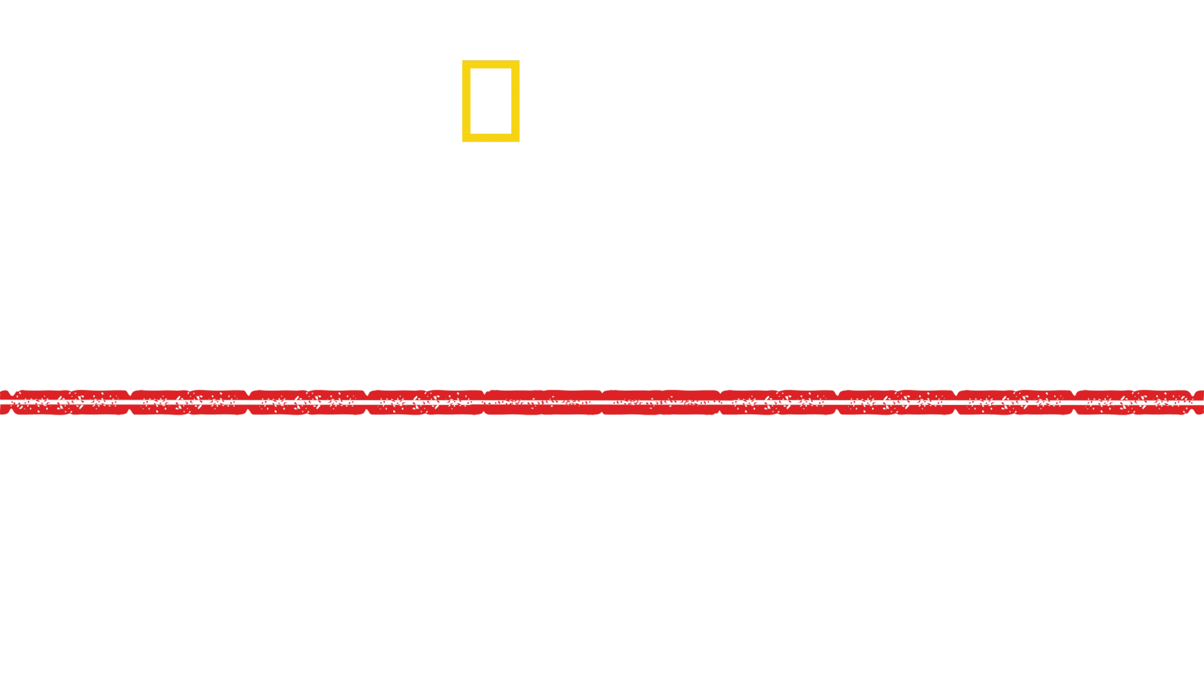 Apokalypse: Hitlers Westfeldzug