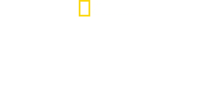 Witness to disaster