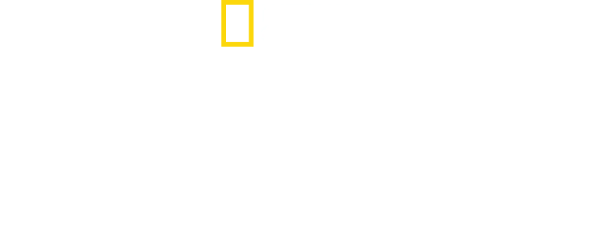 Witness to disaster