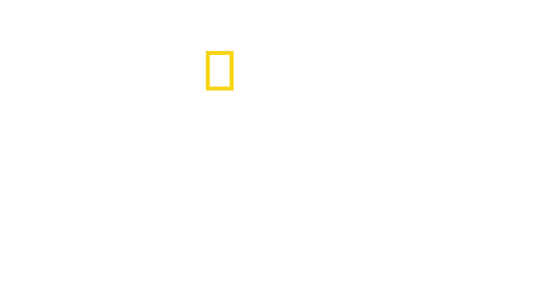 Cadı Avı: Karanlık Gerçekler
