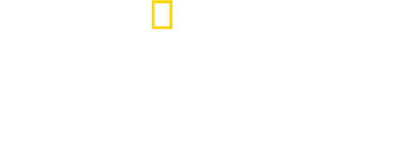 Cadı Avı: Karanlık Gerçekler