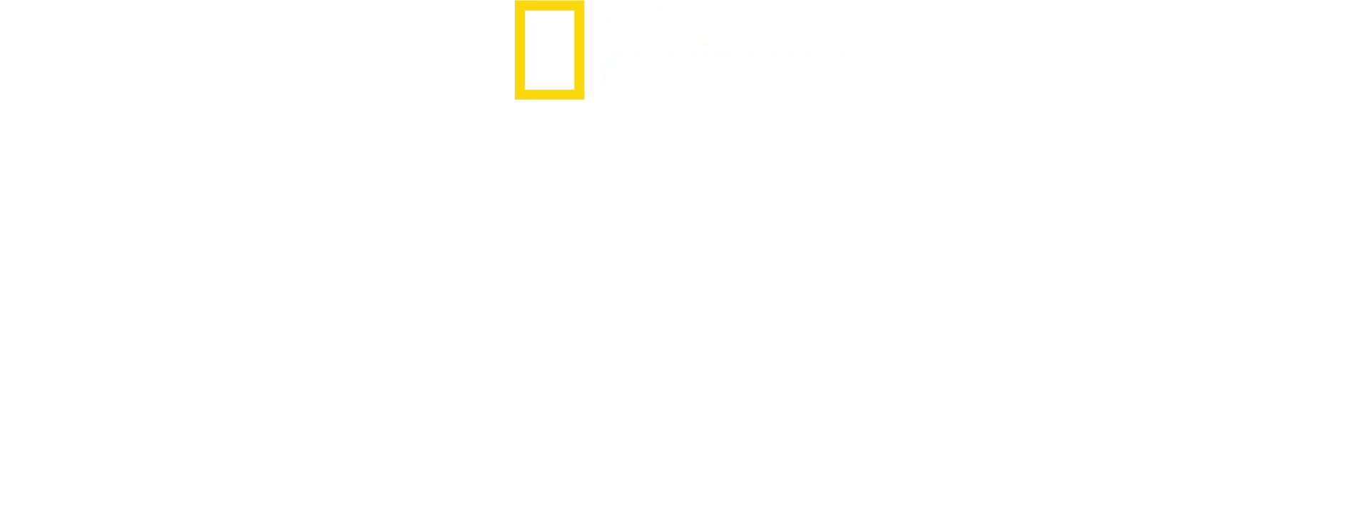 Cadı Avı: Karanlık Gerçekler