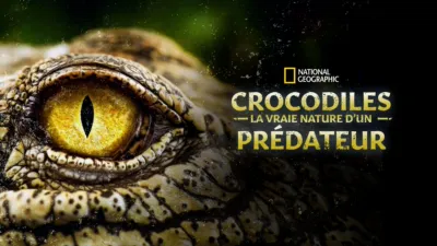 thumbnail - Crocodiles : la vraie nature d’un prédateur