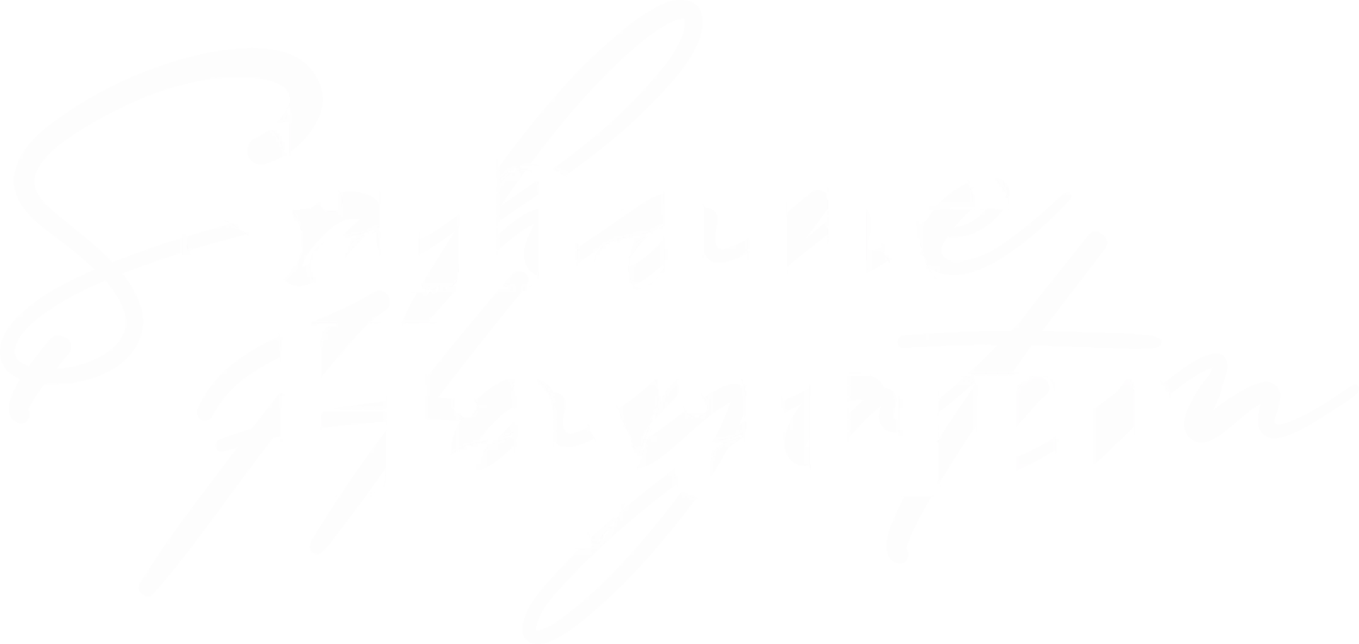 Şahane Hayatım