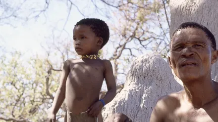 The Gods Must Be Crazy