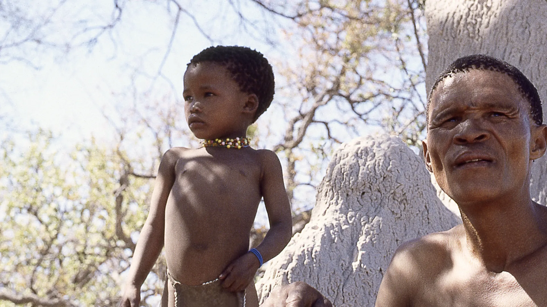 The Gods Must Be Crazy