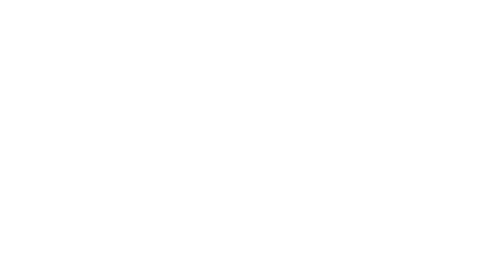 Good Bones