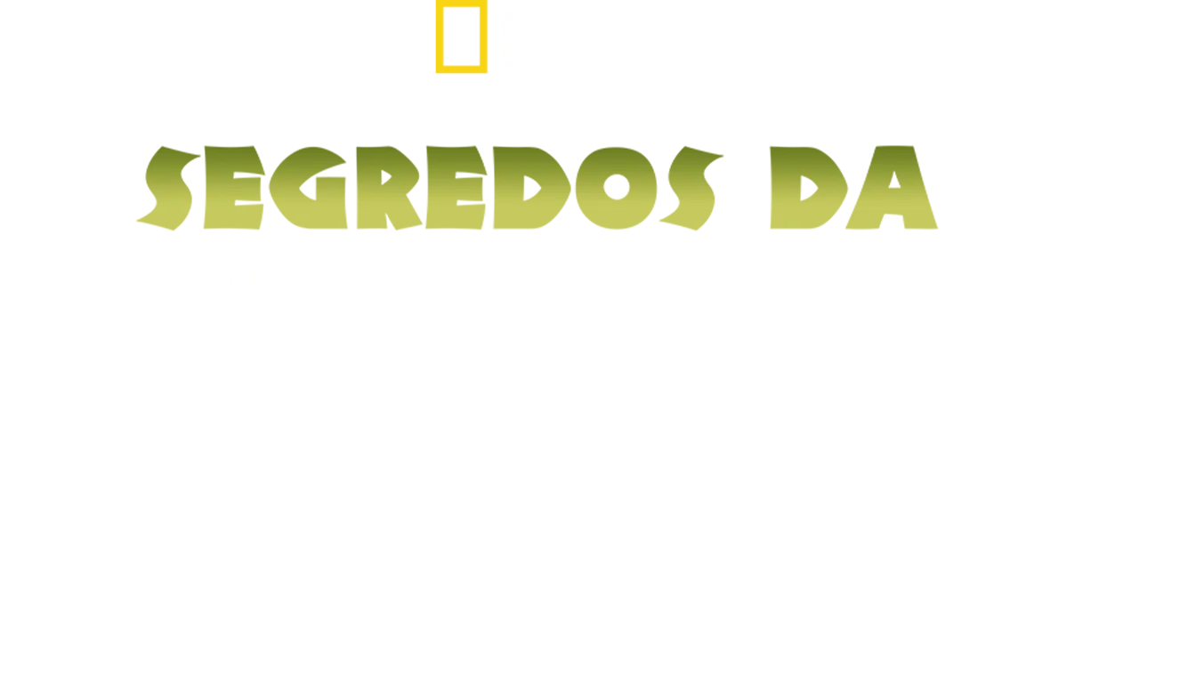 Segredos da Índia Selvagem