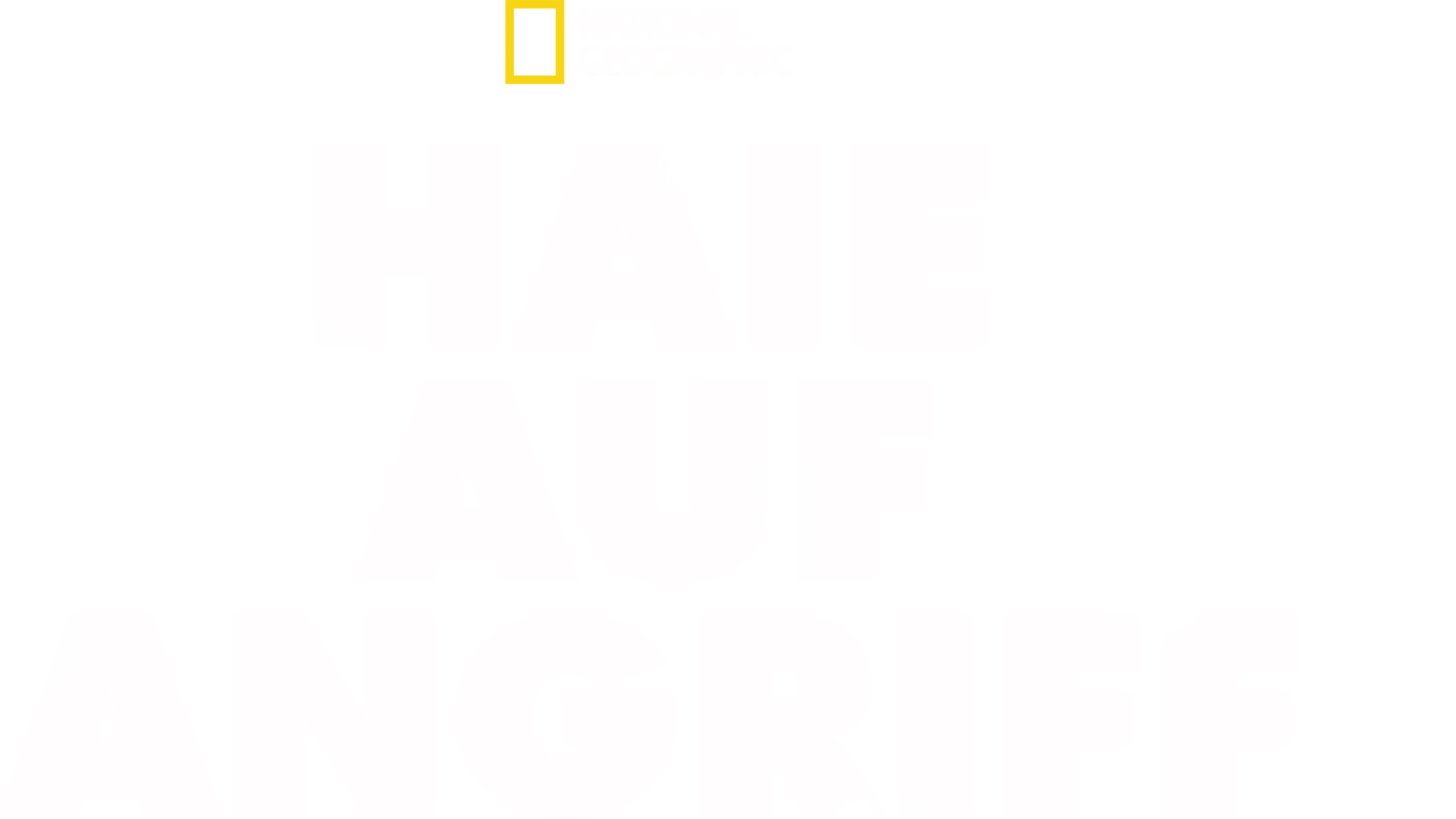 Haie auf Angriff